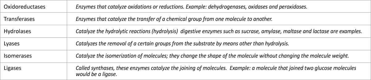 enzymes table 2