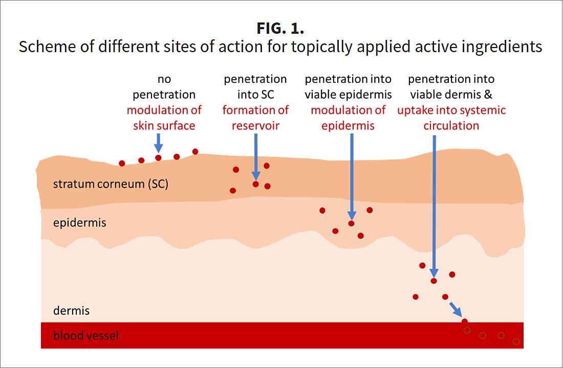 Fig-1-A3 How a facial treatment can be long lasting (sustainable)?