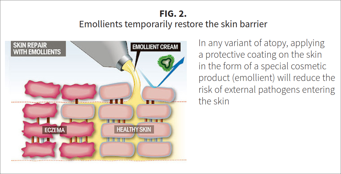 Fig-2-A2 Three stars of corneotherapy —  barrier lipids, antioxidants & hyaluronic acid