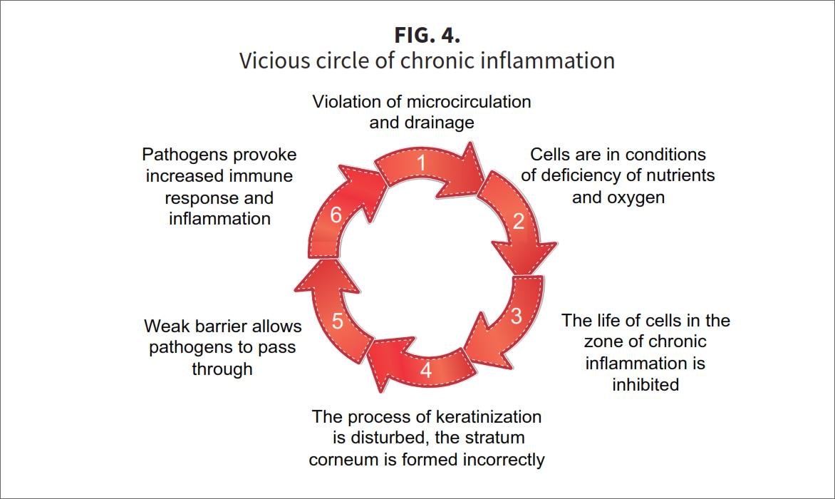 Fig-4-A2 Three stars of corneotherapy —  barrier lipids, antioxidants & hyaluronic acid
