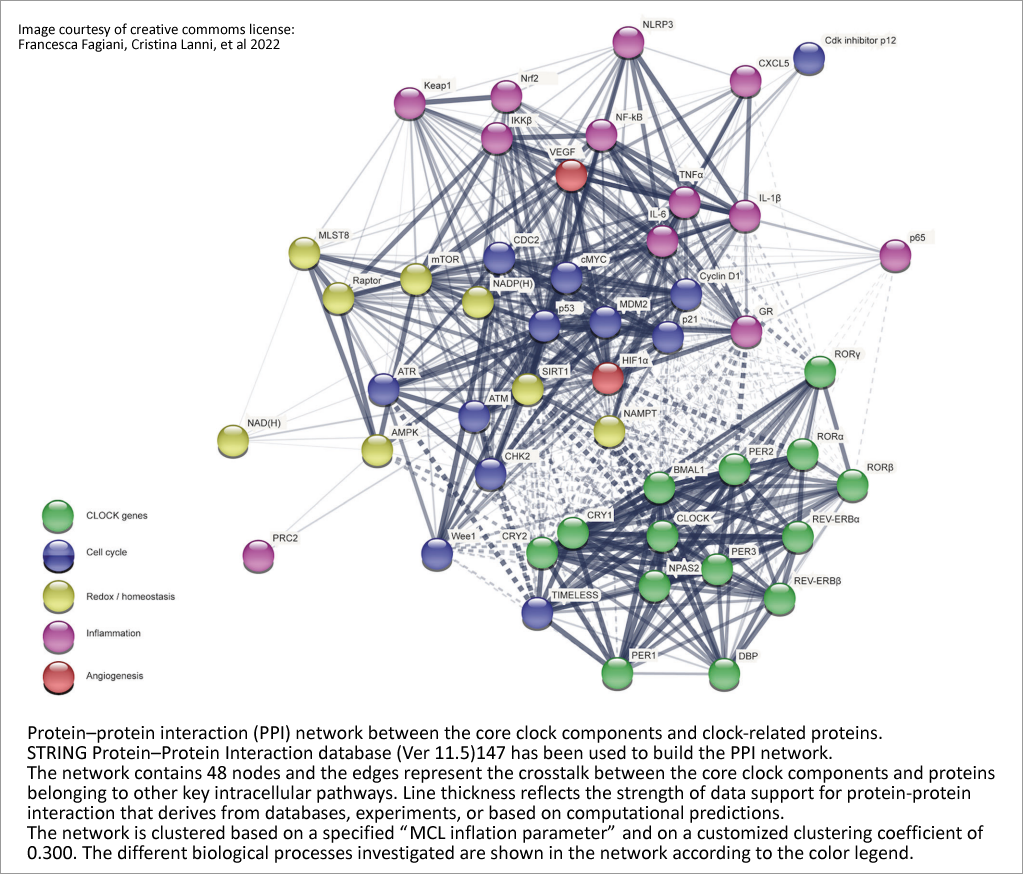 Protein interactions