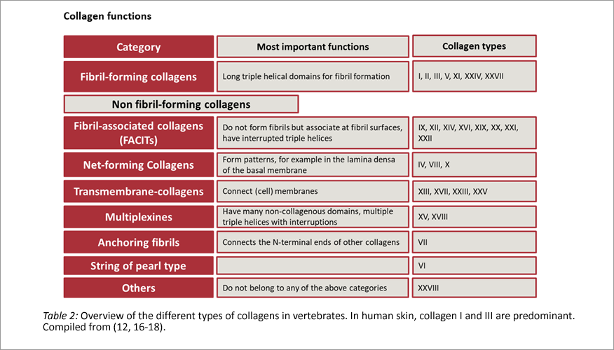 collagen types