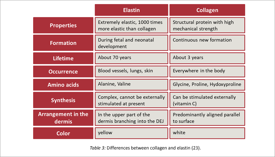 differences between collagen &amp; elastin