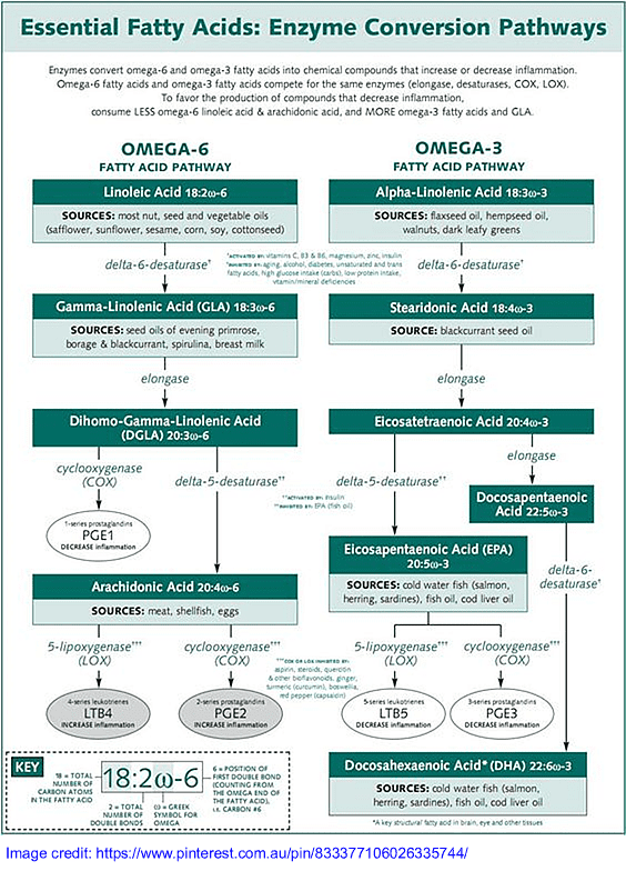 enzyme conversion pathway